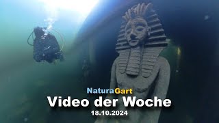 Video der Woche 18102024 [upl. by Aramot629]