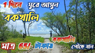 Bakkhali tour ll বকখালি ভ্রমণ ll kolkata to Bakkhali by train ll Bakkhali Seabech ll [upl. by Magna371]