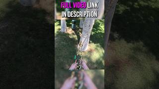 RETRIEVABLE Spar Anchor for MRSDRT for Arborists amp Tree Climbers arborist climbing [upl. by Domash]