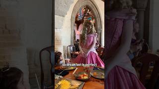 Is this the Best Character Dining at Disney World  Akershus Restaurant at Epcot Princess Meal [upl. by Ertsevlis902]