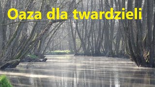 Dzika rzeka w mieście [upl. by Alderson410]