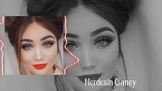 Nerdesin Caney Remix 2024  A Nostalgic Rework by DJ Sadiq [upl. by Medrek]