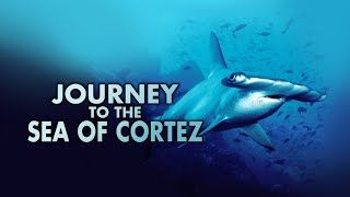 Journey to the Sea of Cortez HD [upl. by Ynnelg]