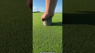 How to set golf ground facts experiment science scienceexperiments physics chemistry shorts [upl. by Yltnerb]