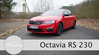 Skoda Octavia RS230 im Test  Den Aufpreis wert Probefahrt  Review [upl. by Releehw]