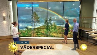 quotBra väder för regnbågarquot  Nyhetsmorgon TV4 [upl. by Drisko608]