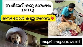 ഇസു മോളെ കാണാംഅവൾ കണ്ണ് തുറന്നു ❤️ [upl. by Ettennat]