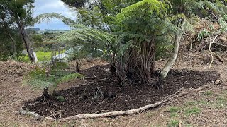 Kaitiaki Māra Kai Backyard Gardens [upl. by Hoxsie]