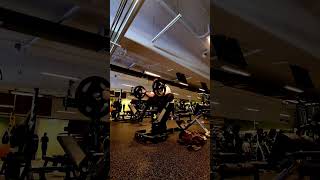 Machine Rear Delt Flys  Seated Easy Bar Preacher Curls  Bicep Finisher [upl. by Nino]