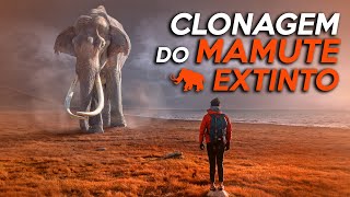 Cientistas apostam na CLONAGEM de um MAMUTE para ajudar o clima na SIBÉRIA Engenharia GENÉTICA [upl. by Noami]