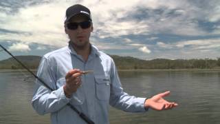 How To Use Squidgies Prawns  SHIMANO AUSTRALIA [upl. by Aryan]