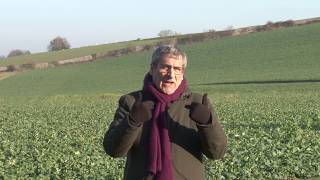 Gilles Boeuf Ambassadeur de la Fondation AgroParisTech [upl. by Iz]