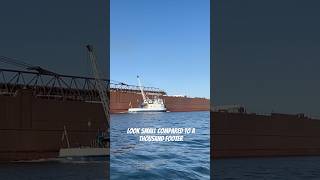 How do freighters get all of their supplies freighter boatnerd greatlakes saultstemarie [upl. by Elleuqram113]