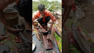 Wow Traditional Pangas Fish Cutting Skills In Expert Cutter 😳😱 Part 561 shorts [upl. by Rosmunda]