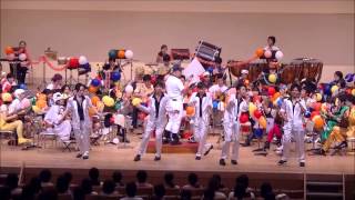 ARTE MANDOLINISTICA なつやすみコンサート2013 ハイライト [upl. by Amitarp]