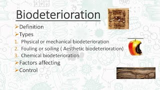 Biodeterioration  Microbes man and Environment  AZ Concepts guide [upl. by Teeniv]