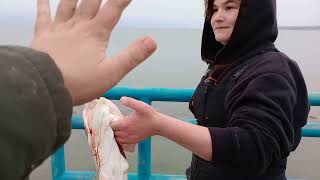 121723  Caseville Michigan Lake Trout Fishing With A 9 Pound Lake Trout [upl. by Serolod326]