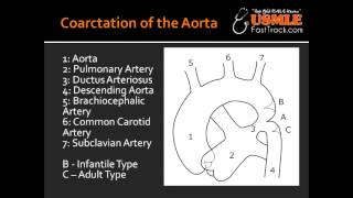 Coarctation of the Aorta  Infantile type amp Adult type [upl. by Hertz]