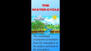 Hydrosphere  This is how the Water cycle works shorts [upl. by Benn350]