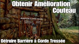 Shadow Of The Tomb Raider  Obtenir Amélioration Couteau  Détruire Barrière à corde Tressée [upl. by Inglebert745]