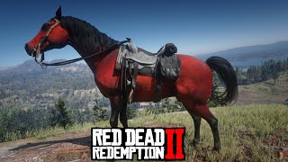 Red Arabian Horse locations  Red Dead Redemption 2 Story mode [upl. by Royce679]