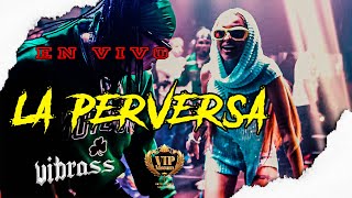 LA PERVERSA  EN VIVO  VIP MATUM  vibrassmd [upl. by Cyprus]