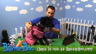 Hurtta Padded Dog Y Harness Raspberry [upl. by Ibba]