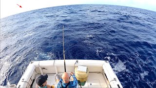 600 LB Marlin Deep Sea Fishing in Hawaii [upl. by Olegna835]