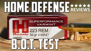 Hornady 223 53gr VMAX Ammunition for Personal Defense [upl. by Ailama]