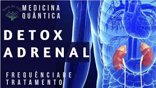 DETOX ADRENAL Terapia com Frequência de Rife Canal Fonte de Vida Medicina quântica TUDO É ENERGIA [upl. by Mort]