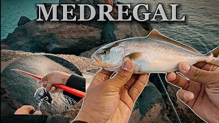 Mi Primer MEDREGAL 🔥🎣 Tenerife islas canarias  YoSoyHader [upl. by Rai]