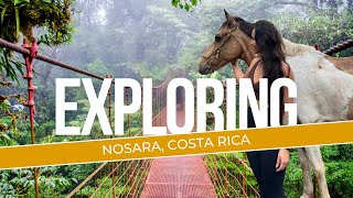 Exploring Nosara Costa Rica [upl. by Dermott]