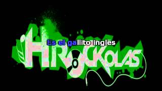 Zurdok  Gallito ingles HRockolas [upl. by Ordway877]