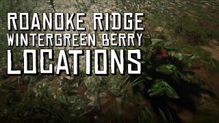 Red Dead Online  Roanoke Ridge Wintergreen Berry Locations [upl. by Sedruol]