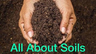 All About Soils Curriculum Based Test  PEP Grade 6 [upl. by Ecirtnahs]