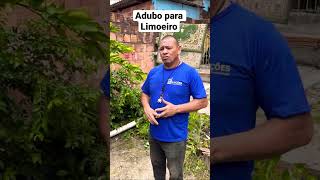 Adubo para limoeiro [upl. by Alarice]