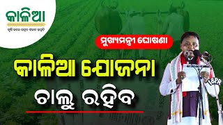 Kalia Yojana Big Update 18th June  Odisha Kalia Yojana Money Transfer  Kalia Yojana New Apply [upl. by Ellenahs]