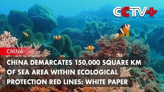 China Demarcates 150000 Square Km of Sea Area Within Ecological Protection Red Lines White Paper [upl. by Nana]