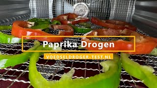 Paprika Drogen in Voedseldroger  Gedroogde paprika tips [upl. by Marva]