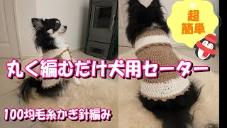 【かぎ針犬用セーター】2玉で編める簡単な小型犬のセーター 100均毛糸フラッフィでくるくる丸い編み方です [upl. by Enra]