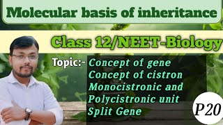 Molecular basis of inheritancePart 20Concept of Gene amp cistron class12 neet biology ncert [upl. by Auerbach]