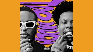 SKHANDAWORLD KO amp Nasty C  TOO MUCH Official Audio [upl. by Nodla]