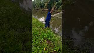 bassfishing fish foryou fypシ゚ fisherman emotional subscribe support fishinglife automobile [upl. by Nidraj]