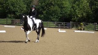 British Dressage  Prelim 14 Eland Lodge [upl. by Riane742]