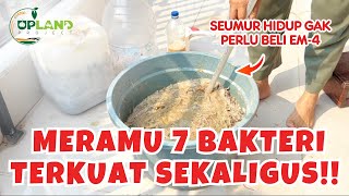 Begini Cara Budidaya 7 Bakteri Pada Pembenah Tanah  Gak Perlu Beli EM4 Seumur Hidup‼️ [upl. by Maxie977]