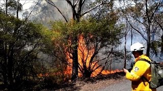 Australie le combat des pompiers contre quotun mégaincendiequot [upl. by Oer]