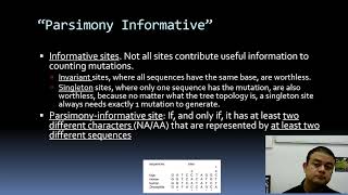 Cladistic Methods Maximum Parsimony [upl. by Anrahc371]