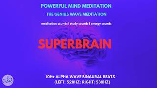 528HZ  Activate Brain to 100 Potential Genius Brain Frequency  Alpha Waves Superbrain [upl. by Ylrehs748]