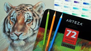 ARTEZA Expert Coloured Pencil Review amp Demo [upl. by Arnst644]