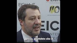 SALVINI Sì AI TESER MA UN PAESE NORMALE ESPELLE GLI IRREGOLARI [upl. by Eimile]